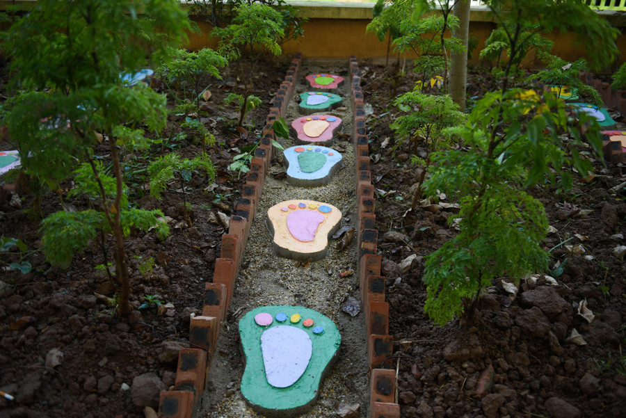 Tại đây, sưu tập các cây thảo dược như quế, mần tưới, nghệ, huyết dụ, để học sinh tìm hiểu, và trải nghiệm sáng tạo.