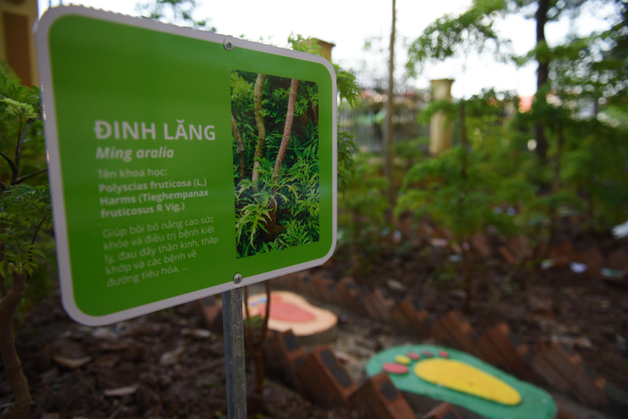 Mỗi loại cây đều có bảng thông tin giúp cho học sinh có thể vừa chơi, vừa học.