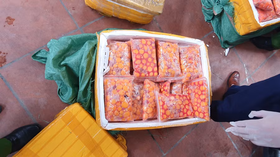 Lô thực phẩm đông lạnh không có nguồn gốc xuất xứ, nhiều túi đựng thực phẩm đã đổi màu, bốc mùi.