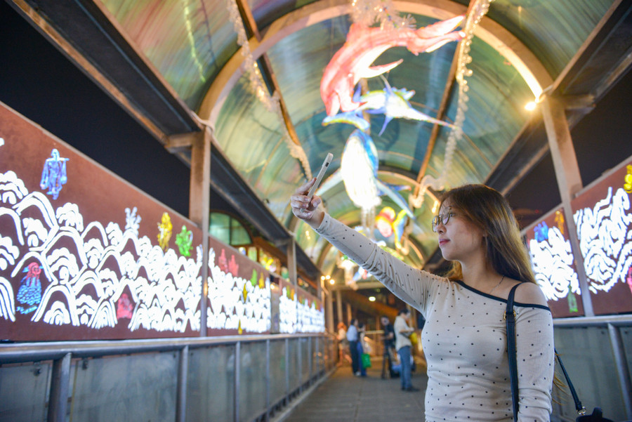 Tận dụng ánh sáng từ đèn cao áp chiếu hắt xuống đi qua tấm che của cây cầu, những tác phẩm hiện lên trông như 1 đường &quot;hầm thủy cung&quot; trên cạn với rất nhiều loài động vật dưới biển đang bơi lội phía trên vòm cầu.