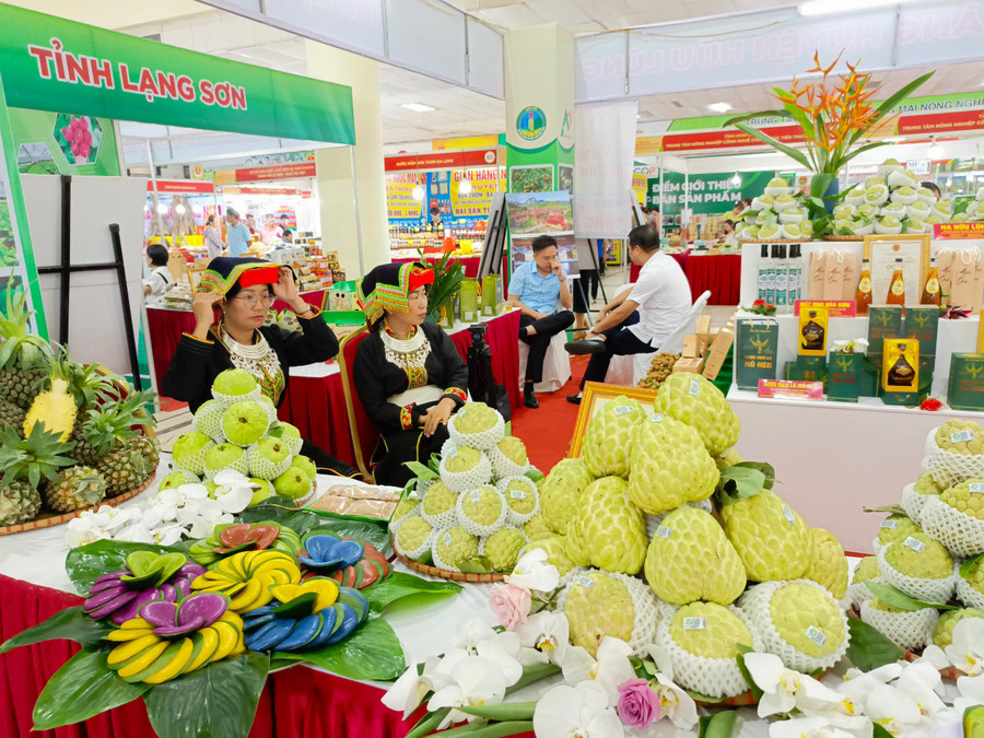 Với quy mô trên 80 gian hàng và 1000m2 khu trưng bày bán nông đặc sản vùng miền của các hợp tác xã, doanh nghiệp, Hội nông dân đến từ các tỉnh, thành.