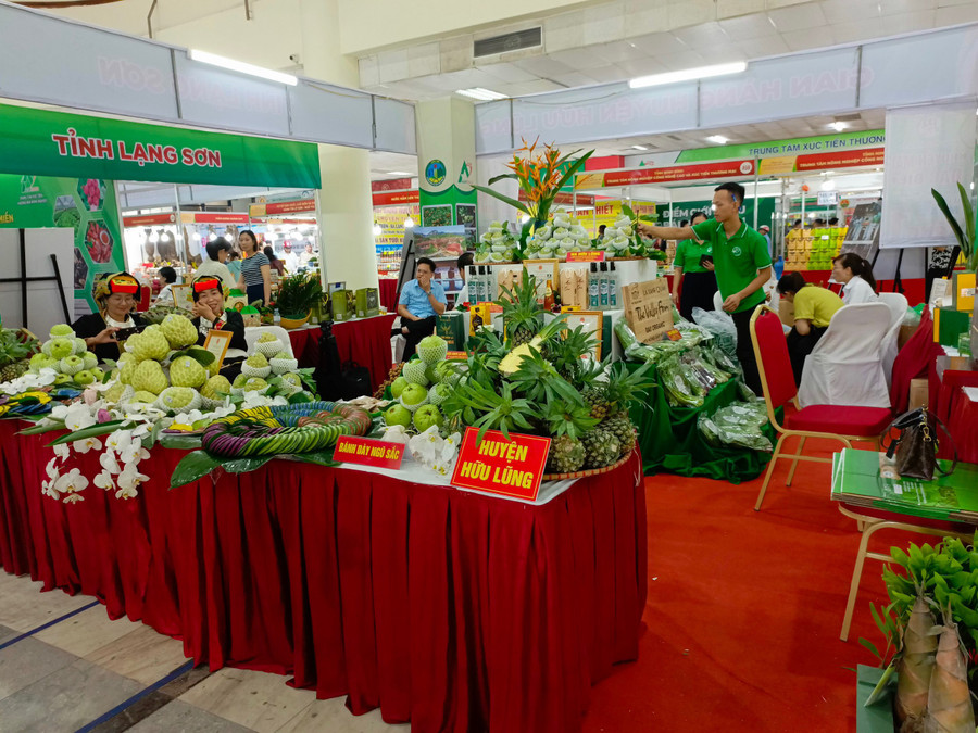 Phiên chợ do Trung tâm xúc tiến thương mại nông nghiệp – Bộ NN&amp;PTNN phối hợp với Sở NN&amp;PTNT tỉnh Lạng Sơn, UBND huyện Chi Lăng và các địa phương tổ chức vừa khai mạc tại Khu Hội chợ triển lãm, giao dịch kinh tế và thương mại tại Hà Nội.