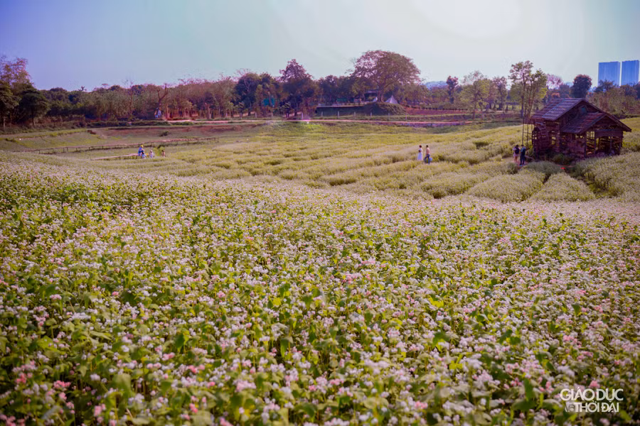 Đây là địa điểm trải nghiệm tuyệt vời của những du khách ưa khám phá, du lịch trong đợt nghỉ lễ sắp tới.