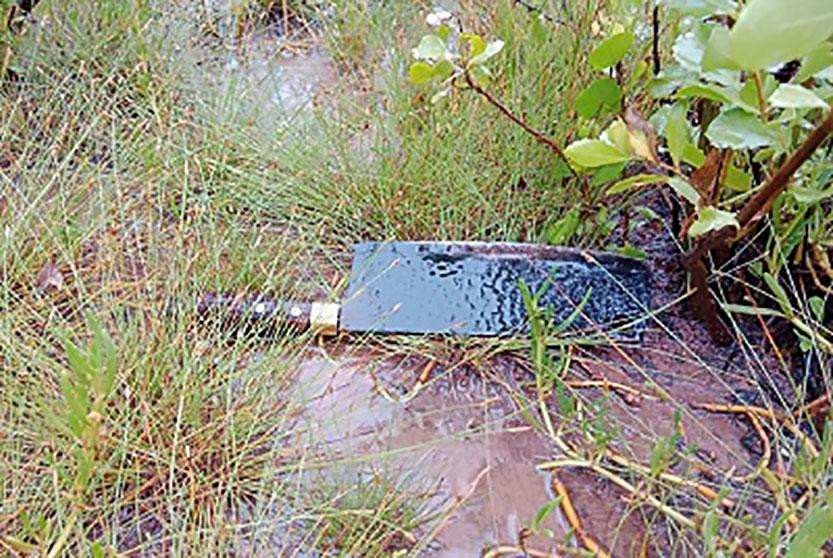 Con dao nghi vấn là hung khí của vụ án được cơ quan chức năng phát hiện tại hiện trường. Con dao nghi vấn là hung khí của vụ án được cơ quan chức năng phát hiện tại hiện trường.