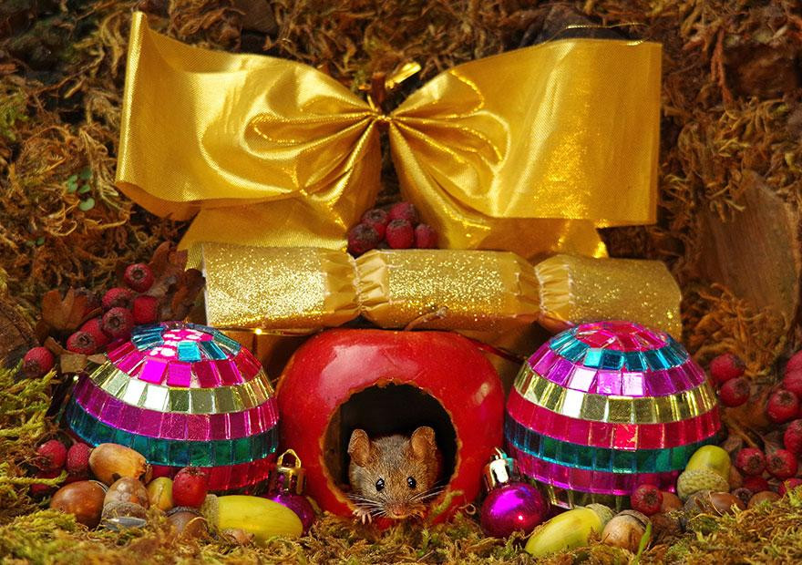 Một góc trang trí theo chủ đề giáng sinh. Ảnh: Simon Dell. Một góc trang trí theo chủ đề giáng sinh. Ảnh: Simon Dell.