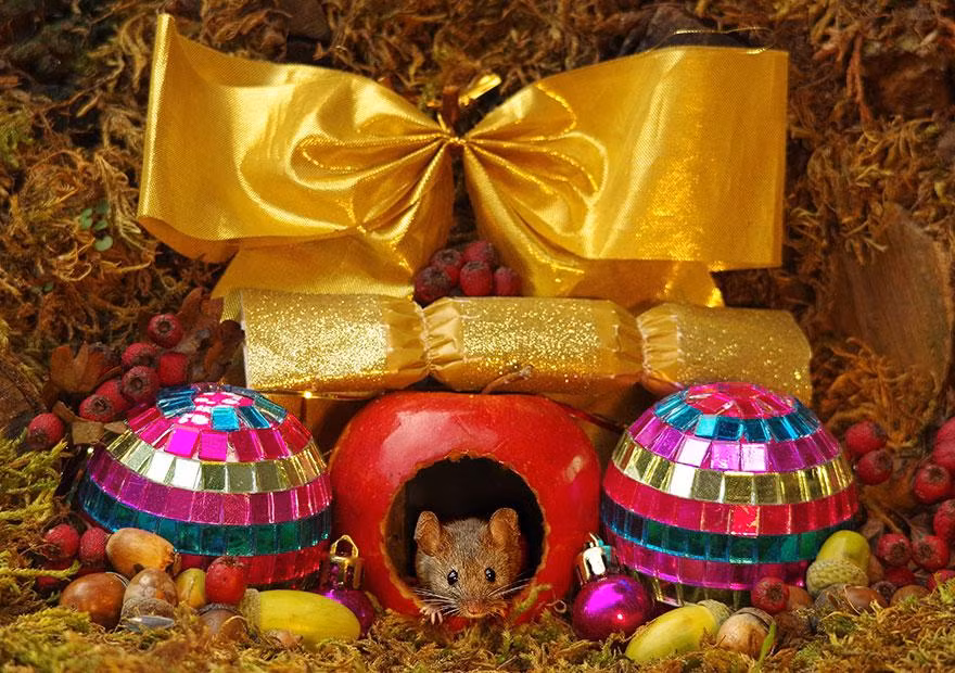 Một góc trang trí theo chủ đề giáng sinh. Ảnh: Simon Dell.