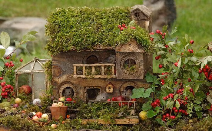 Gia đình chuột trong trang viên lớn trên đồi. Ảnh: Simon Dell.