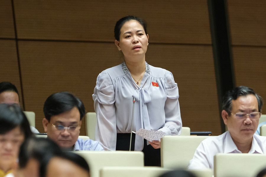 Đại biểu Nguyễn Thị Thu Dung - Đoàn ĐBQH tỉnh Thái Bình Đại biểu Nguyễn Thị Thu Dung - Đoàn ĐBQH tỉnh Thái Bình