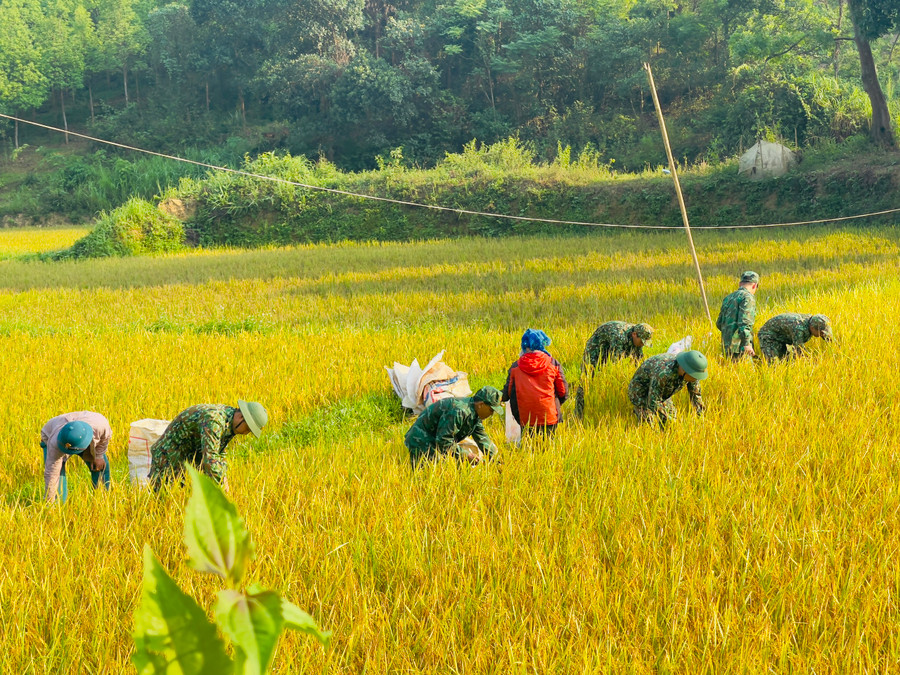 Theo Thiếu tá Hoàng Xuân Biên, gia đình ông Hồ Văn Bài thuộc hộ DTTS nghèo, cuộc sống nhiều khó khăn. Thời gian qua, gia đình ông Bài là một trong những hộ đồng bào tích cực cùng với Bộ đội biên phòng tham gia bảo vệ đường biên, cột mốc. Qua đó, góp phần xây dựng thế trận phòng thủ, bảo vệ vững chắc chủ quyền lãnh thổ, an ninh biên giới quốc gia. Theo Thiếu tá Hoàng Xuân Biên, gia đình ông Hồ Văn Bài thuộc hộ DTTS nghèo, cuộc sống nhiều khó khăn. Thời gian qua, gia đình ông Bài là một trong những hộ đồng bào tích cực cùng với Bộ đội biên phòng tham gia bảo vệ đường biên, cột mốc. Qua đó, góp phần xây dựng thế trận phòng thủ, bảo vệ vững chắc chủ quyền lãnh thổ, an ninh biên giới quốc gia.