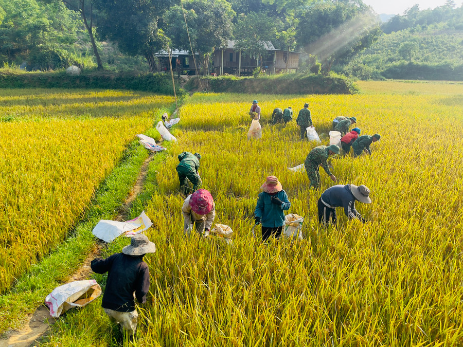 Chương trình "Thứ 7 tình nguyện" do Đoàn thanh niên đơn vị chủ trì, thời gian qua đã tổ chức nhiều hoạt động ý nghĩa giúp bà con nhân dân vùng biên giới. Chương trình "Thứ 7 tình nguyện" do Đoàn thanh niên đơn vị chủ trì, thời gian qua đã tổ chức nhiều hoạt động ý nghĩa giúp bà con nhân dân vùng biên giới.