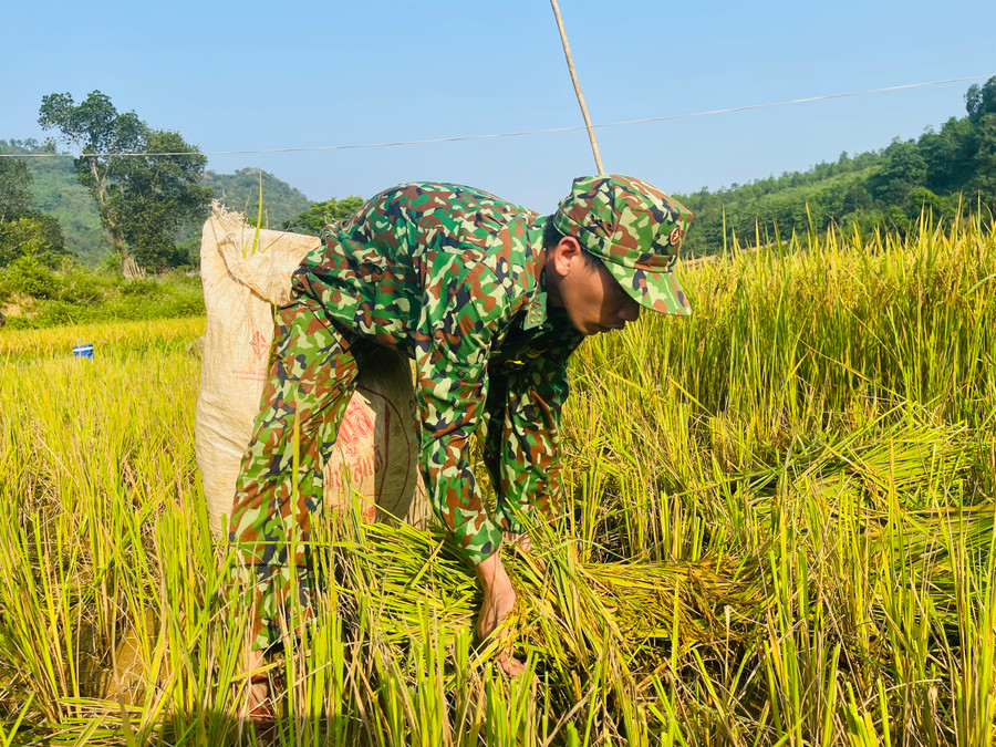 Đồn Biên phòng Hướng Lập, đóng tại xã Hướng Lập (huyện Hướng Hóa, tỉnh Quảng Trị), quản lý 2 xã biên giới gồm Hướng Lập và Hướng Việt. Đồn Biên phòng Hướng Lập, đóng tại xã Hướng Lập (huyện Hướng Hóa, tỉnh Quảng Trị), quản lý 2 xã biên giới gồm Hướng Lập và Hướng Việt.