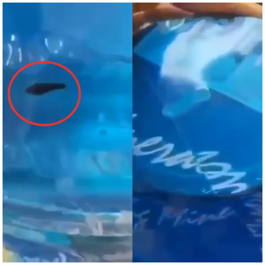 Hình ảnh quay lại sinh vật lạ trong bình nước.