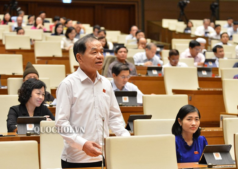 Đại biểu Lê Thanh Vân, Đoàn ĐBQH tỉnh Cà Mau, phát biểu tại phiên thảo luận