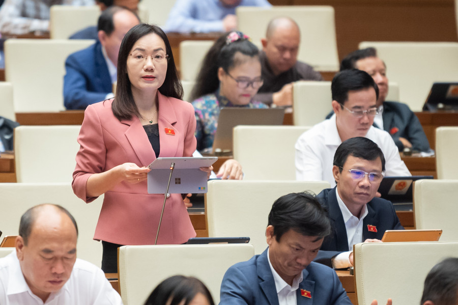 Đại biểu Đỗ Thị Việt Hà (Đoàn ĐBQH tỉnh Bắc Giang). Đại biểu Đỗ Thị Việt Hà (Đoàn ĐBQH tỉnh Bắc Giang).