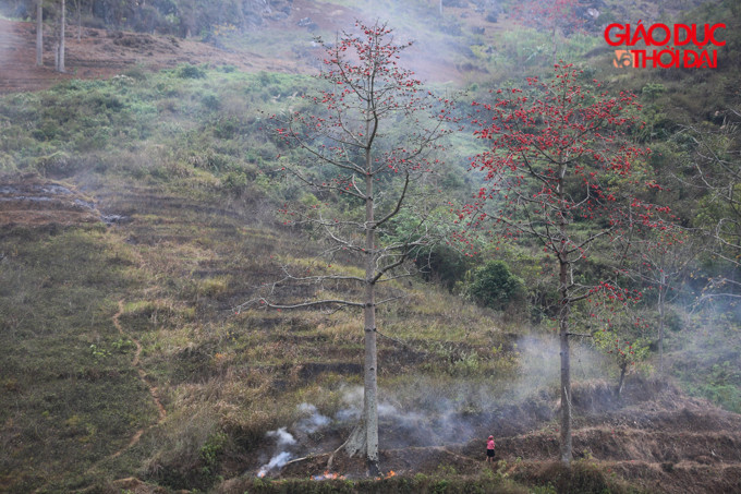 Đắm mình vào khung cảnh ấy, khách lữ hành thực không muốn ra về. Không ít người đã tự khắc vào lòng một lời ước hẹn: "Tháng Ba nhất định phải đến ngắm dòng Nho Quế".