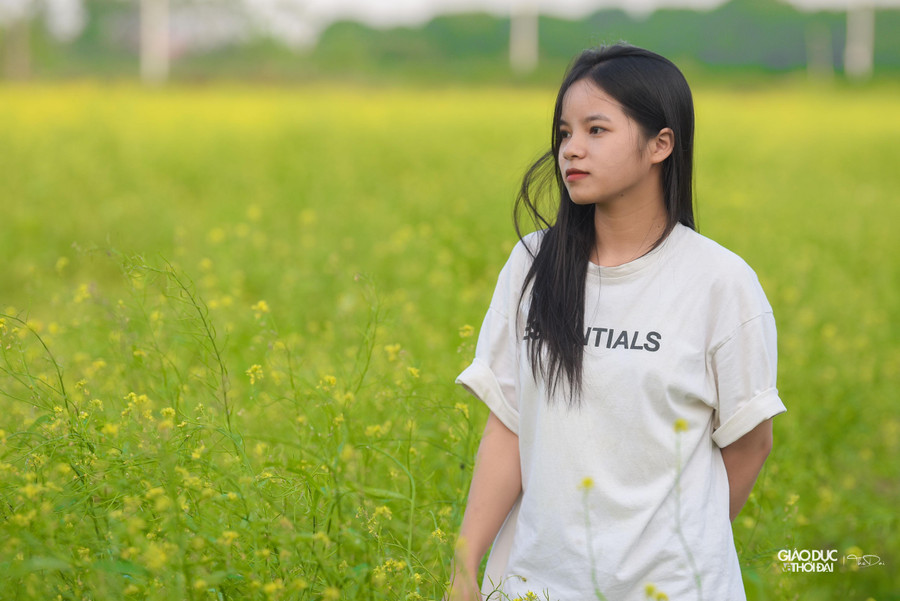 Thôn Chi Đông cách khá xa trung tâm Hà Nội, nên ít người biết đến những cánh đồng hoa cải ở đây.