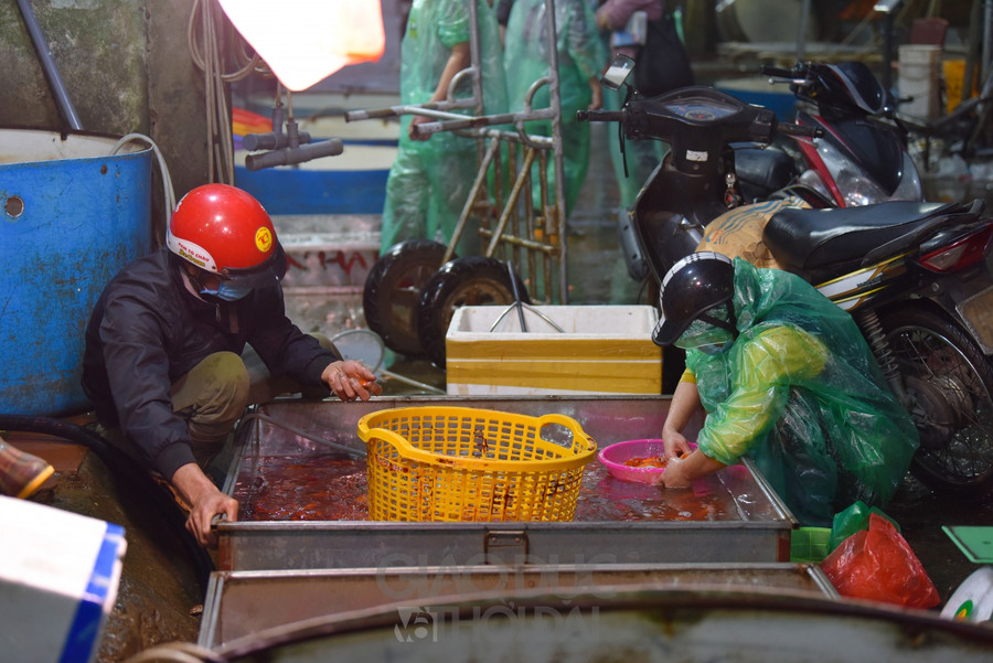 Chợ "phương tiện" ông Công ông Táo trầm lắng, giá cá giảm người mua cũng giảm ảnh 7