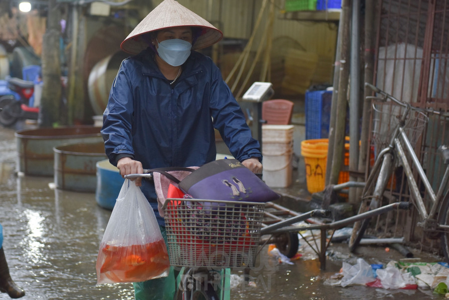 Lượng cá chép các tiểu thương mua năm nay cũng ít hơn mọi năm.