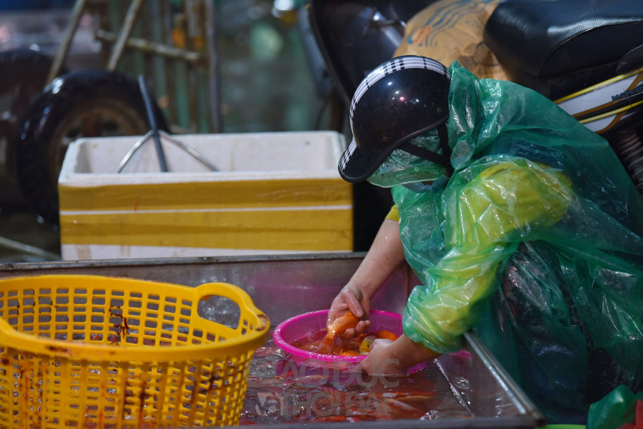 Chợ "phương tiện" ông Công ông Táo trầm lắng, giá cá giảm người mua cũng giảm ảnh 14