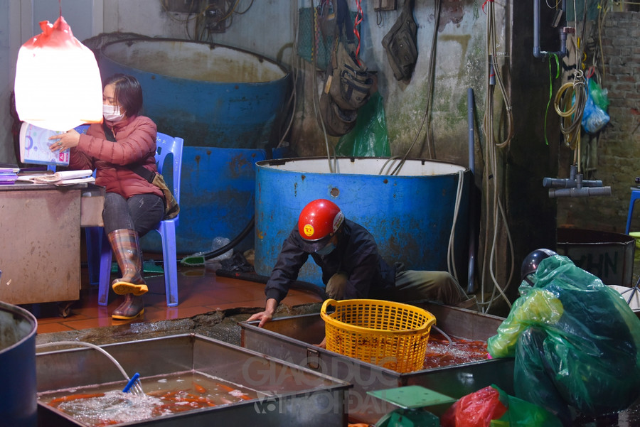 Chợ "phương tiện" ông Công ông Táo trầm lắng, giá cá giảm người mua cũng giảm ảnh 1