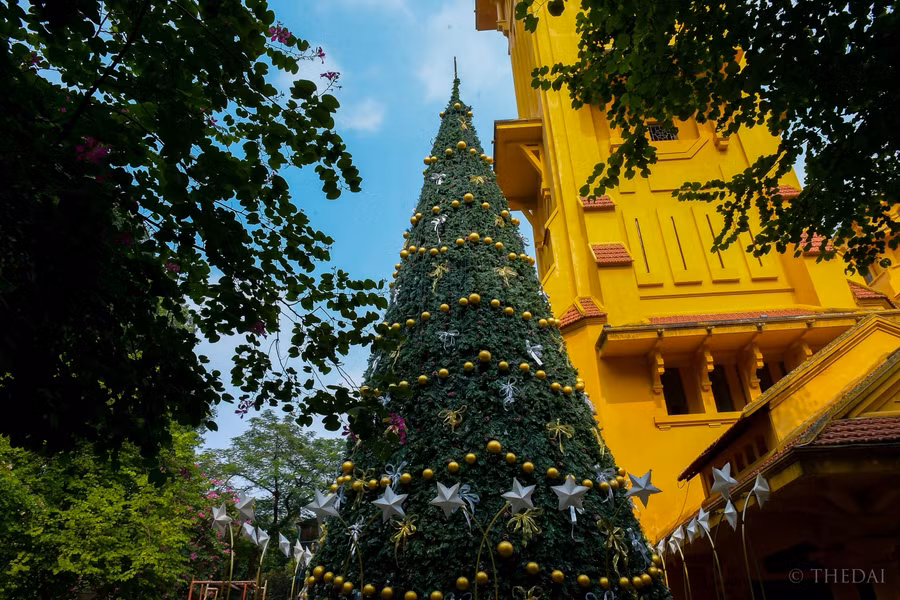 Cây thông Noel khổng lồ tại nhà thờ Cửa Bắc.