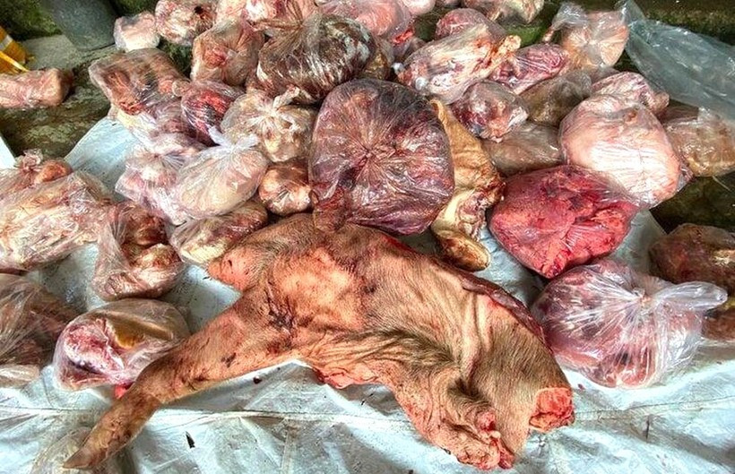 Kho hàng đông lạnh chứa thịt và nội tạng lợn &quot;bẩn&quot; qua kết quả xét nghiệm các mẫu đều không đạt vệ sinh an toàn thực phẩm.