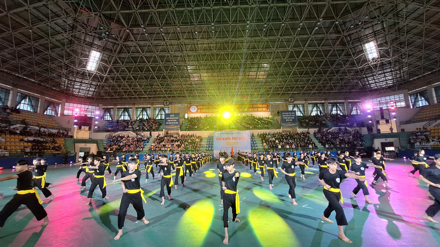 Đồng diễn võ cổ truyền Việt Nam.