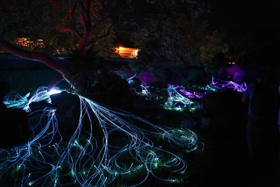 Loạt cây cảnh tuyệt đẹp phô ra những chiếc rễ nhân tạo như được thắp lửa, đang neo xuống lòng đất khi màn đêm dần buông. Loạt cây cảnh tuyệt đẹp phô ra những chiếc rễ nhân tạo như được thắp lửa, đang neo xuống lòng đất khi màn đêm dần buông.