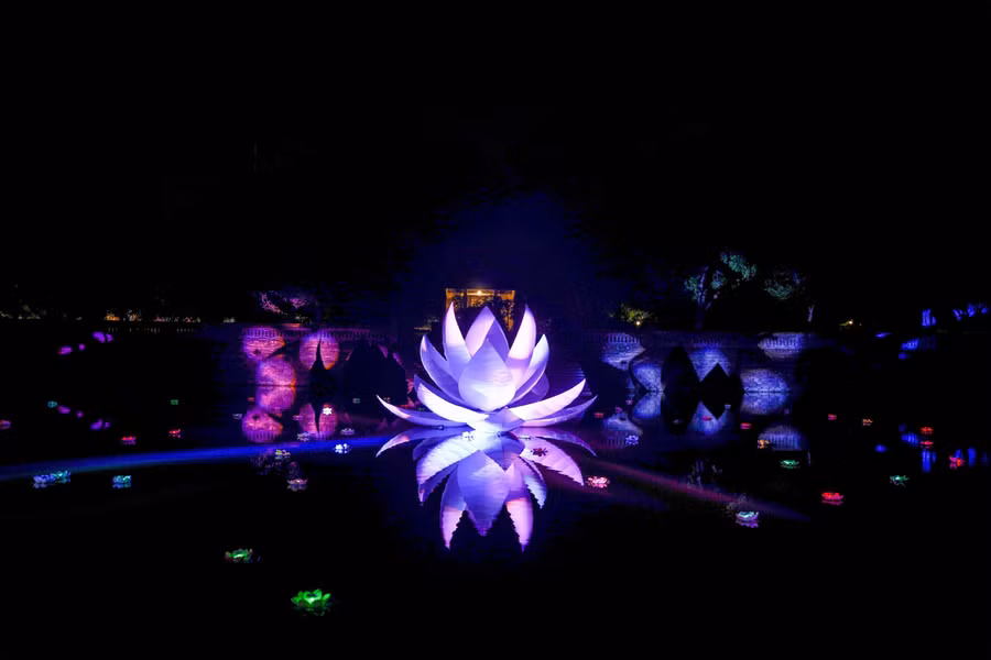 Sắp đặt ánh sáng kỳ ảo trong Lễ hội Ánh sáng tại Thái Bình Lâu và vườn Thiệu Phương (Đại Nội Huế). (Ảnh: BTC)