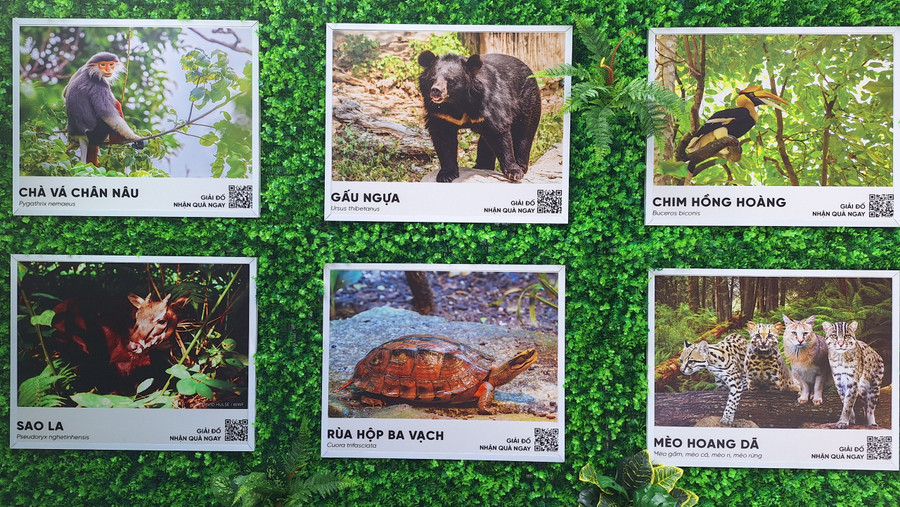 Nhiều hình ảnh động vật quý tại triển lãm.