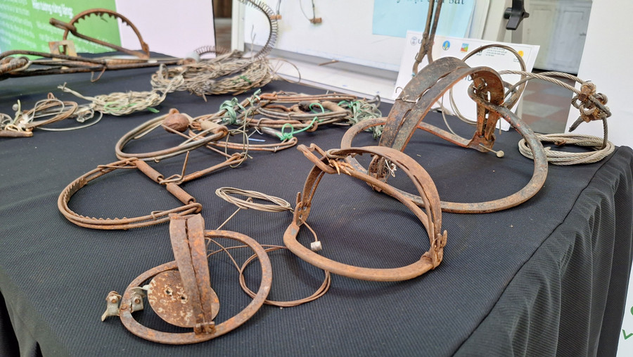 Các bẫy rừng mà kiểm lâm viên thu được từ người dân đi bẫy động vật hoang dã.