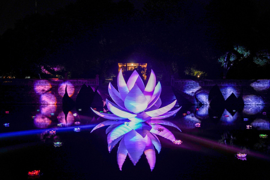 Những bông sen khổng lồ tỏa sáng với muôn vàn sắc màu trên hồ nước ở vườn thượng uyển Thiệu Phương, Đại Nội Huế. (Ảnh: BTC) Những bông sen khổng lồ tỏa sáng với muôn vàn sắc màu trên hồ nước ở vườn thượng uyển Thiệu Phương, Đại Nội Huế. (Ảnh: BTC)