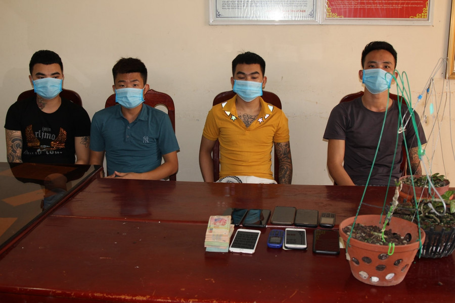 Các đối tượng có hành vi lừa bán lan đột biến chiếm đoạt nhiều tỷ đồng. Ảnh: Công an Hà Nam.