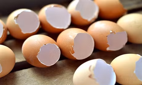 Nhung tac dung khong ngo cua vo trung voi suc khoe ma moi nguoi thuong bo qua - Anh 2