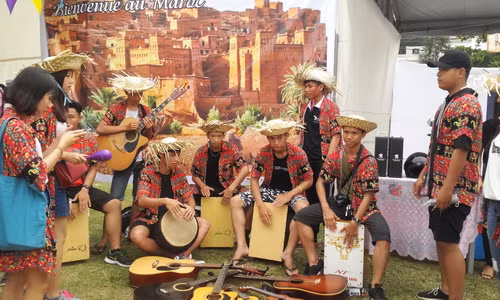 Đà Nẵng: Sôi động Ngày hội Pháp ngữ năm 2017 ảnh 1