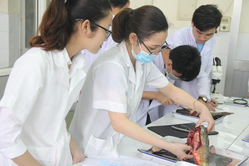 Tăng cường kiểm định chất lượng giáo dục của các cơ sở giáo dục đại học. Ảnh: Sỹ Điền Tăng cường kiểm định chất lượng giáo dục của các cơ sở giáo dục đại học. Ảnh: Sỹ Điền