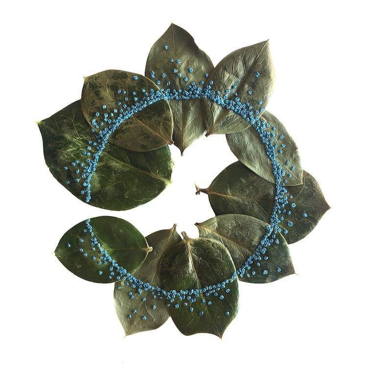 Ảnh: Hillary Waters Fayle.