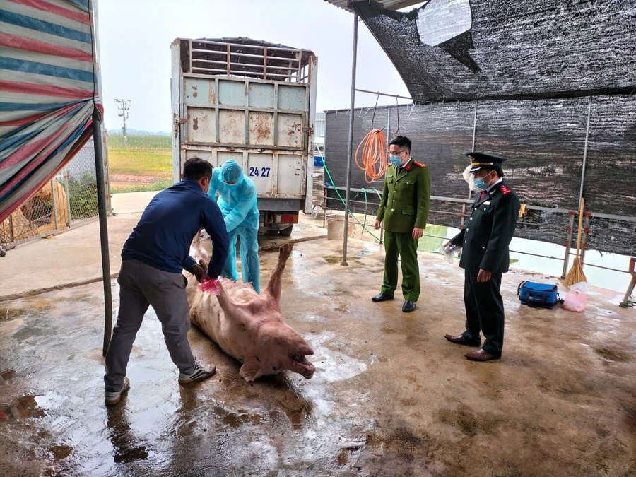 Lực lượng chức năng tiến hành lấy mẫu để xét nghiệm.