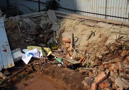 Cây bồ đề trăm năm giữa phố bỗng dưng "biến mất"