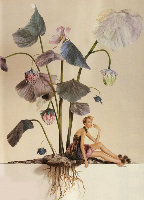 Siri Tollerod cực kỳ độc đáo dưới ống kính của Tim Gutt ảnh 6