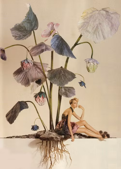 Siri Tollerod cực kỳ độc đáo dưới ống kính của Tim Gutt ảnh 6