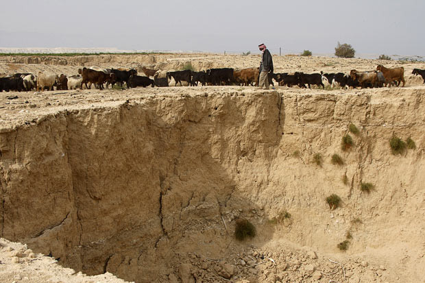 Kinh hoàng những hố địa ngục trên thế giới ảnh 15 January 2010: A Jordanian Bedouin walks with his livestock next to a sinkhole that has appeared on the southern shores of the Dead Sea. Environmentalists say more sink holes are appearing as a result of the declining water levels of the Dead Sea