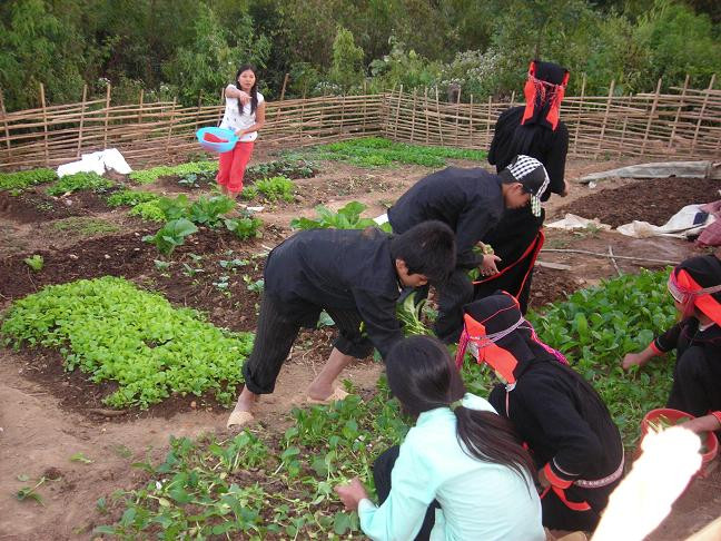 Cùng cô giáo tăng gia sản xuất