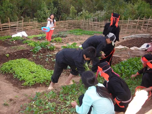 Cùng cô giáo tăng gia sản xuất