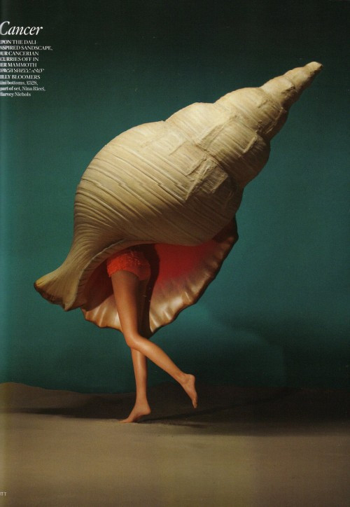 Siri Tollerod cực kỳ độc đáo dưới ống kính của Tim Gutt ảnh 8