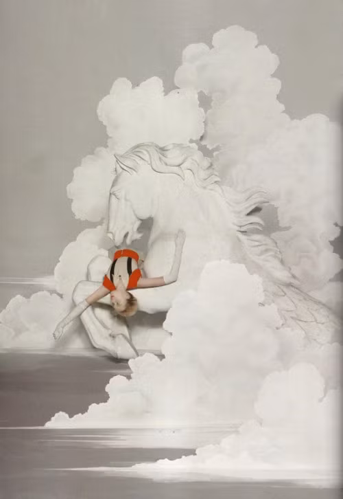 Siri Tollerod cực kỳ độc đáo dưới ống kính của Tim Gutt ảnh 3