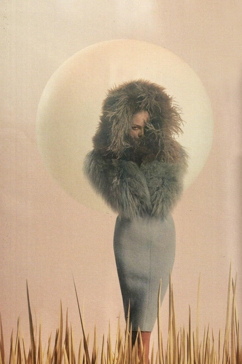 Siri Tollerod cực kỳ độc đáo dưới ống kính của Tim Gutt ảnh 7