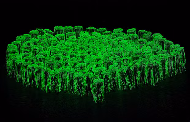 Performers participate in the opening ceremony of the 16th Asian Games on Haixinsha Island along the Pearl River in Guangzhou, southern China’s Guangdong province