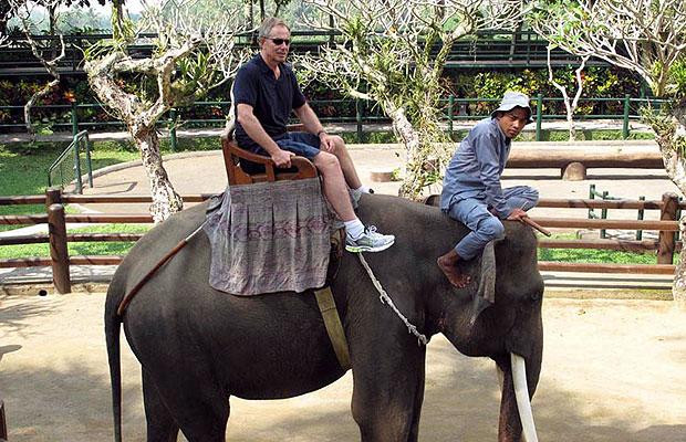 Chùm ảnh các chính trị gia thế giới trong các kỳ nghỉ ảnh 2 Pack your trunk: But they are best remembered for their holidays in more exotic destinations, such as Bali.