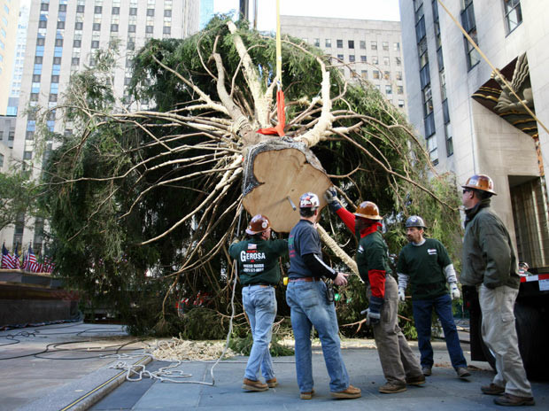 Workers try to lift the Rockefeller Center Christmas tree into place in New York